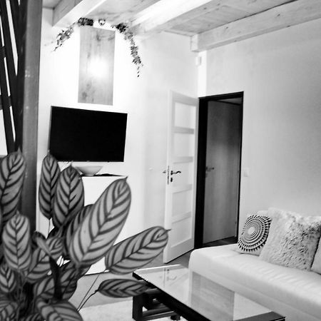 Apartmany Ztracena Роуднице-над-Лабем Экстерьер фото